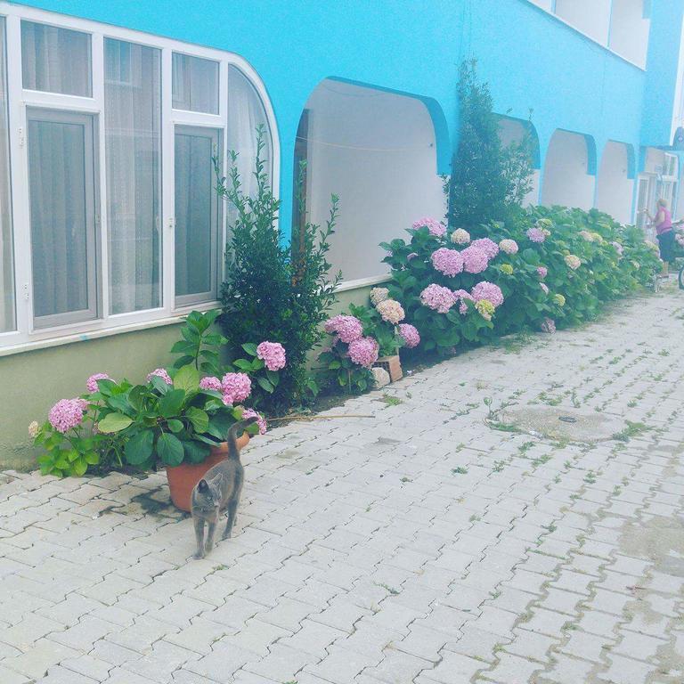 Ada Motel Türkeli Exteriör bild